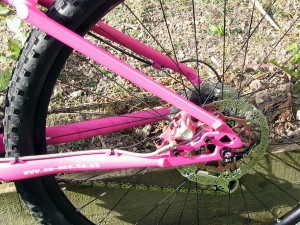 Pink Brakes